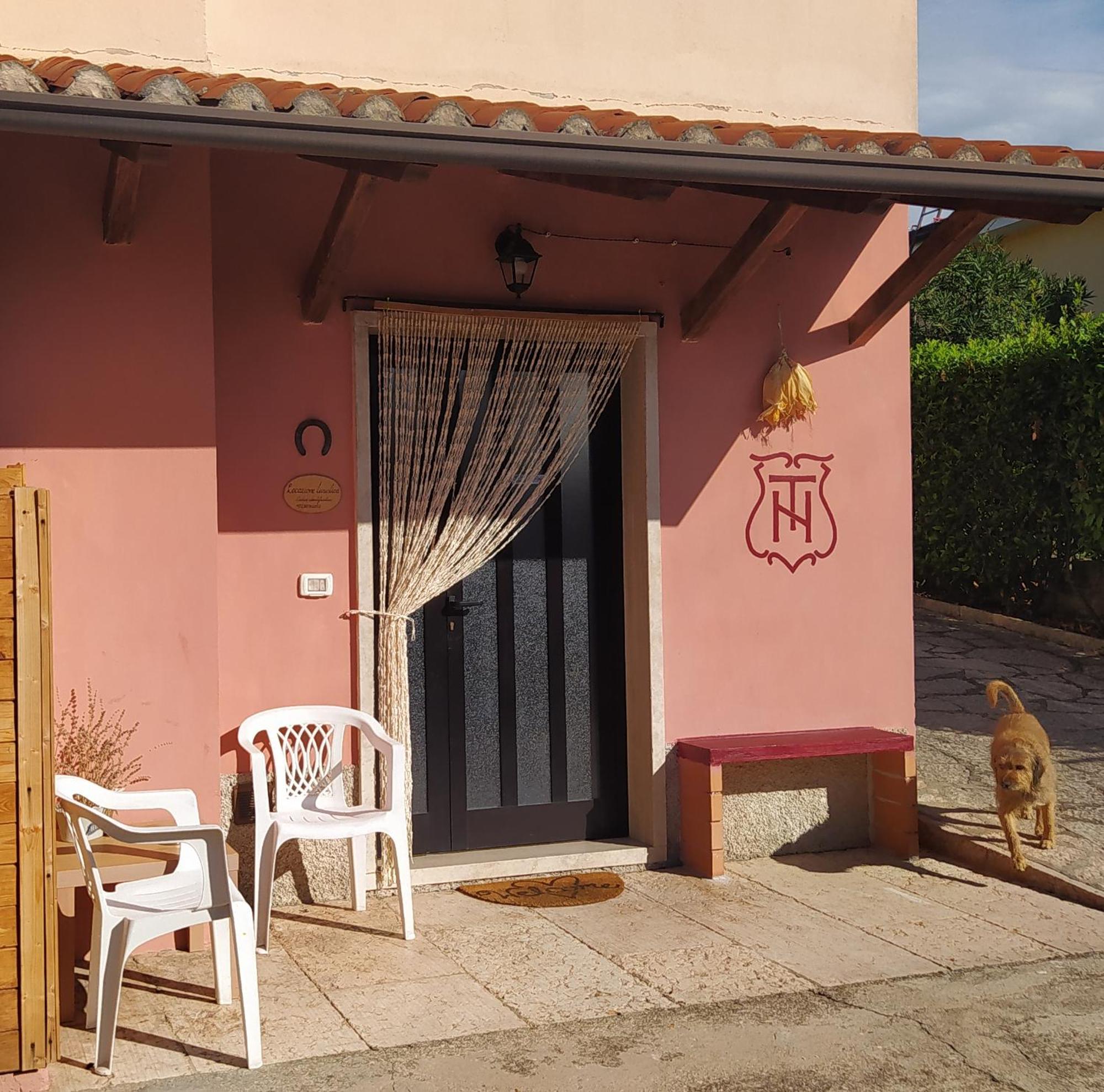 La Casa Di Nello Apartment Pedemonte Ngoại thất bức ảnh